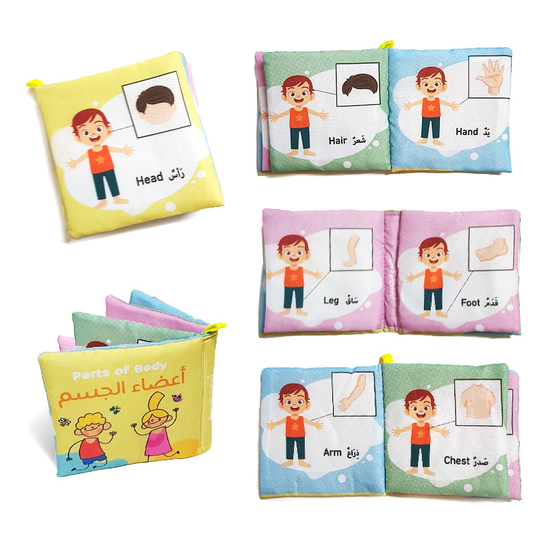 كتاب قماش اعضاء الجسم