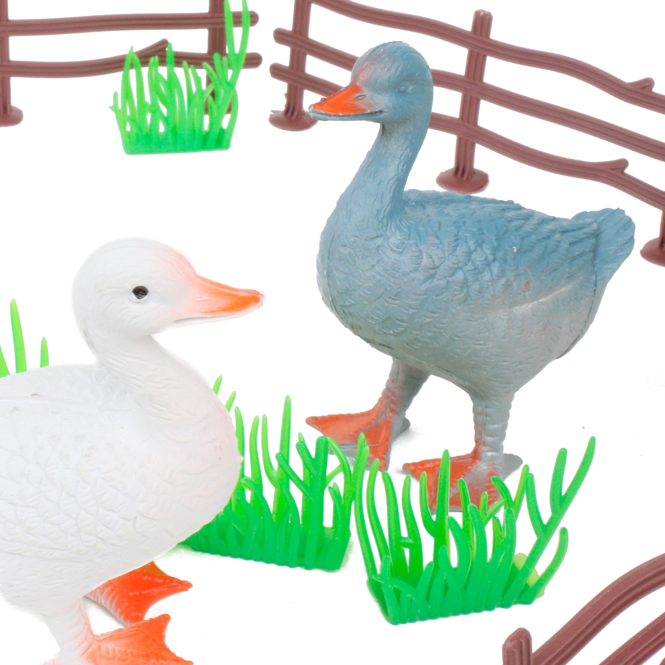 مجسمات طيور المزرعة