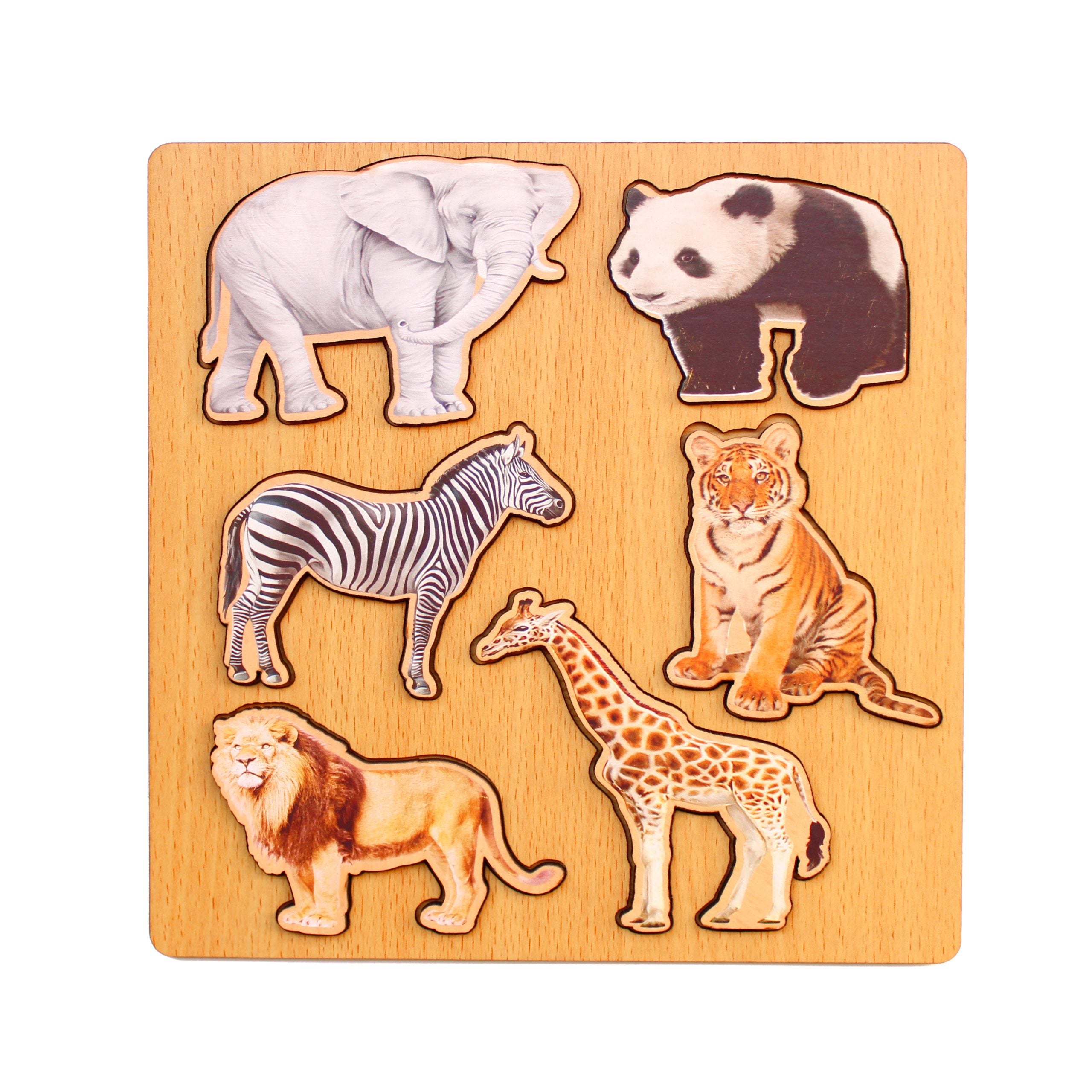 بازل حيوانات غابة