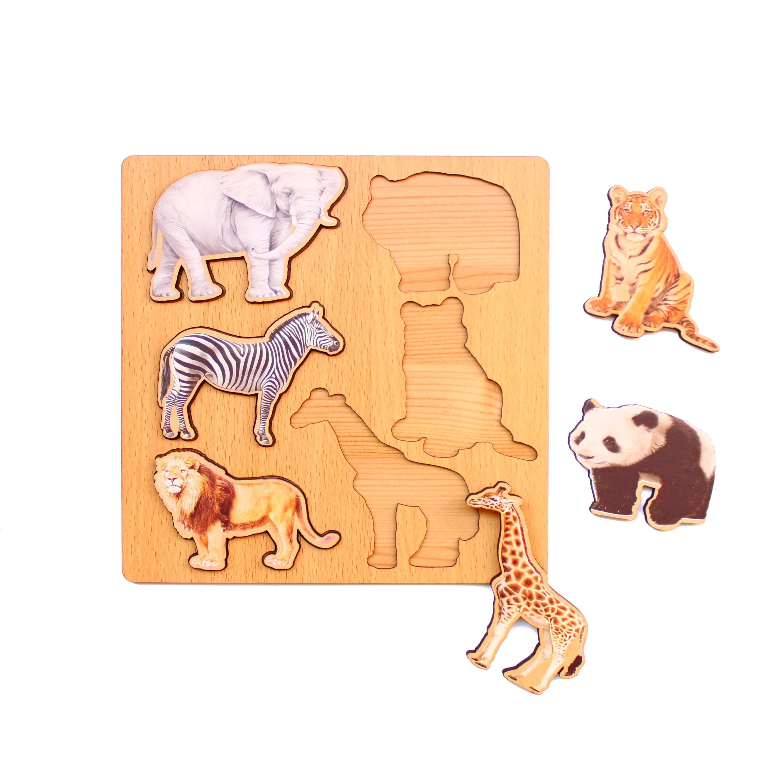 بازل حيوانات غابة