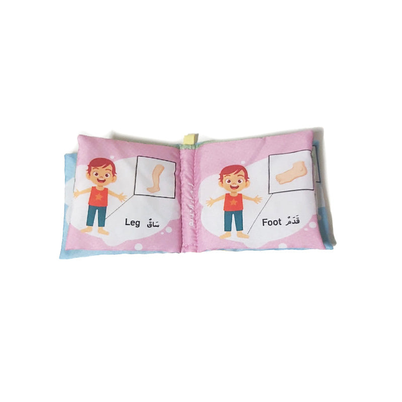 كتاب قماش اعضاء الجسم