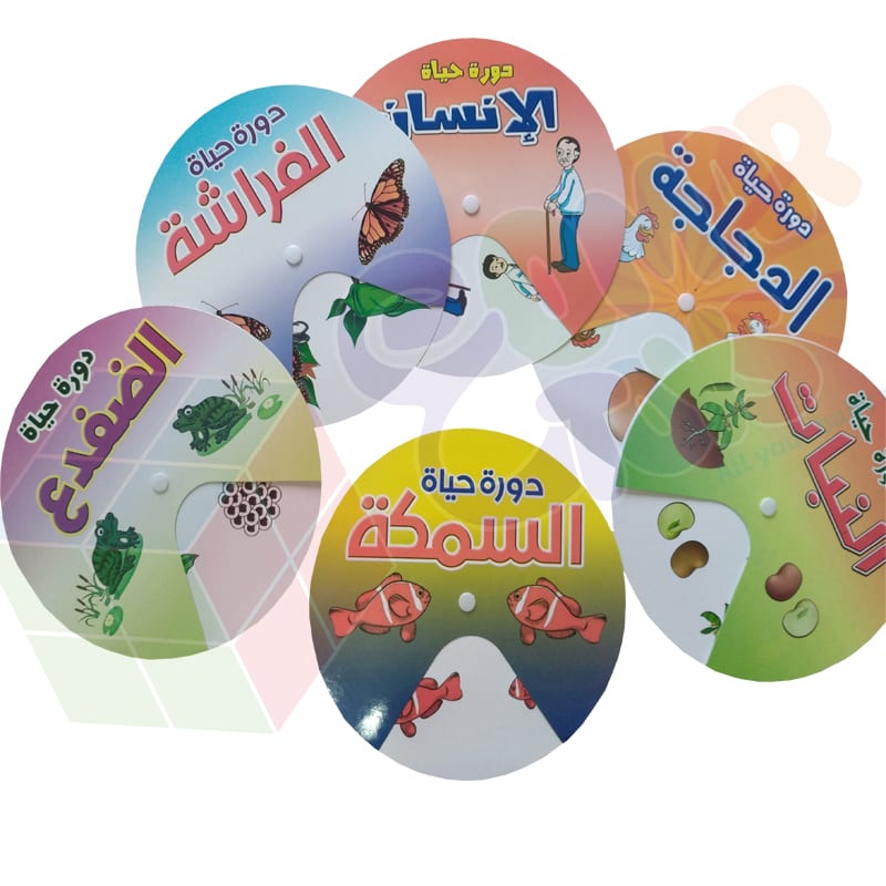 سلسلة الانشطة التفاعلية | دورة الحياة Life cycle
