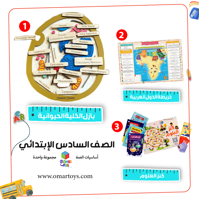 مجموعة تأسيس الصف السادس الإبتدائي