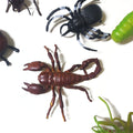مجسمات حشرات Insects