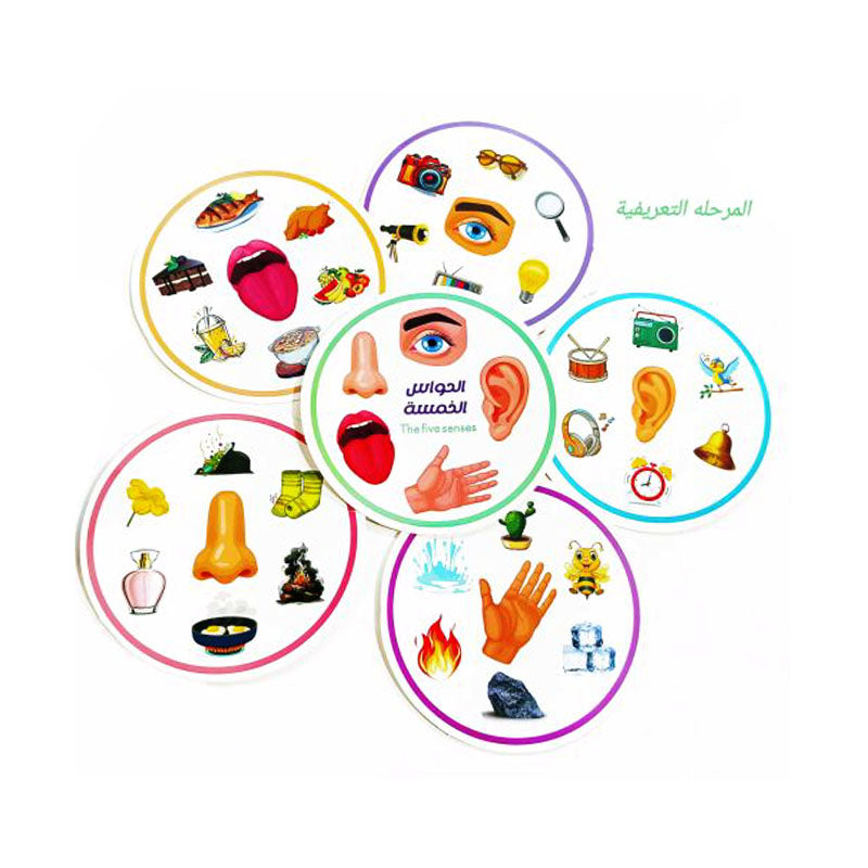 حواسي الخمس